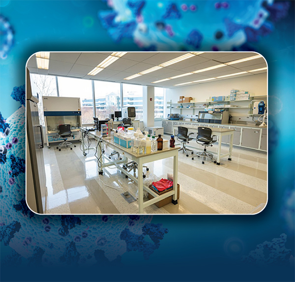 lab